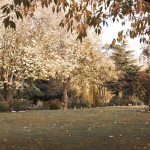 Westview Memorial Garden, Oamaru