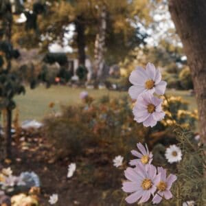 Westview Memorial Garden, Oamaru