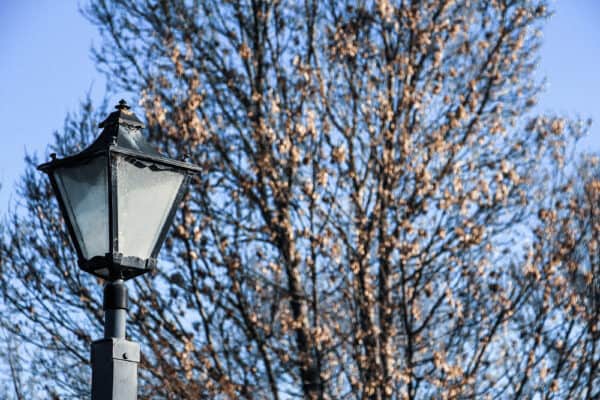 Whitestone 55 1000x667